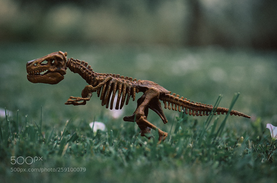 Pentax K-500 sample photo. Dinosaur photography