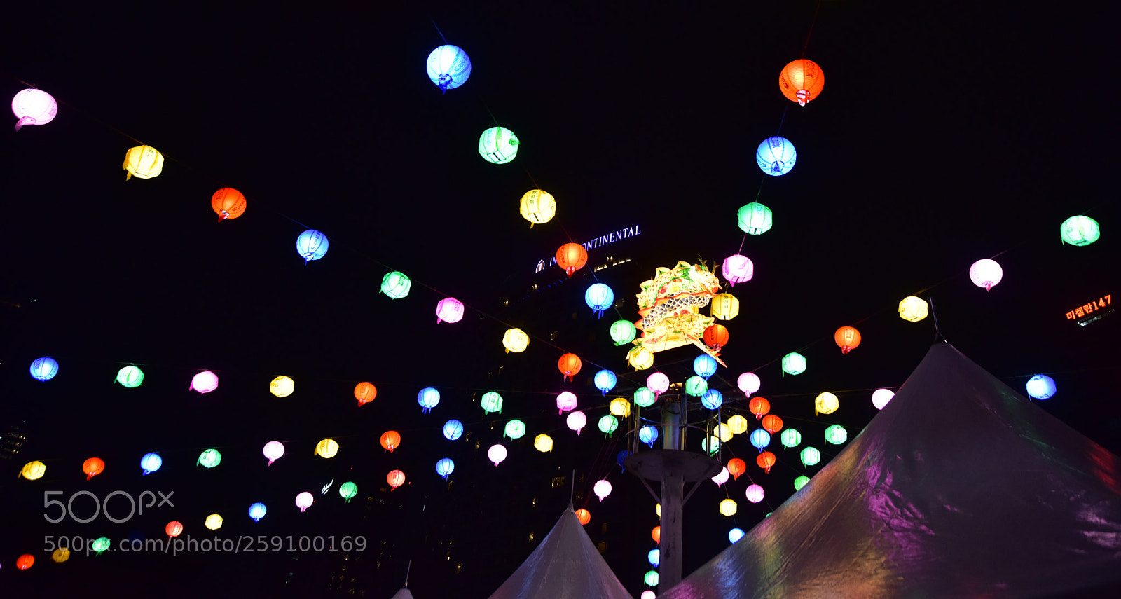 Nikon D810 sample photo. Untitled photography