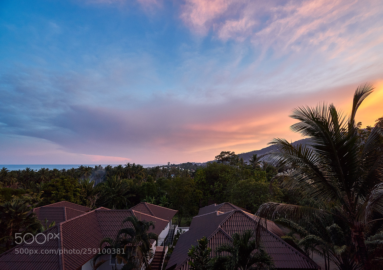 Sony a6300 sample photo. View from my balcony photography