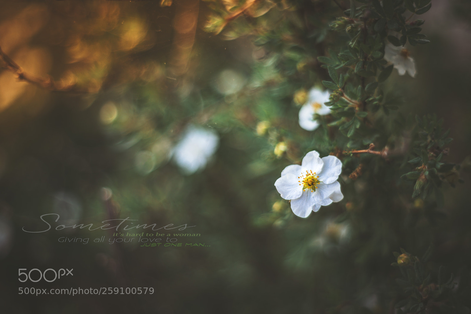 Nikon D610 sample photo. Alone. photography