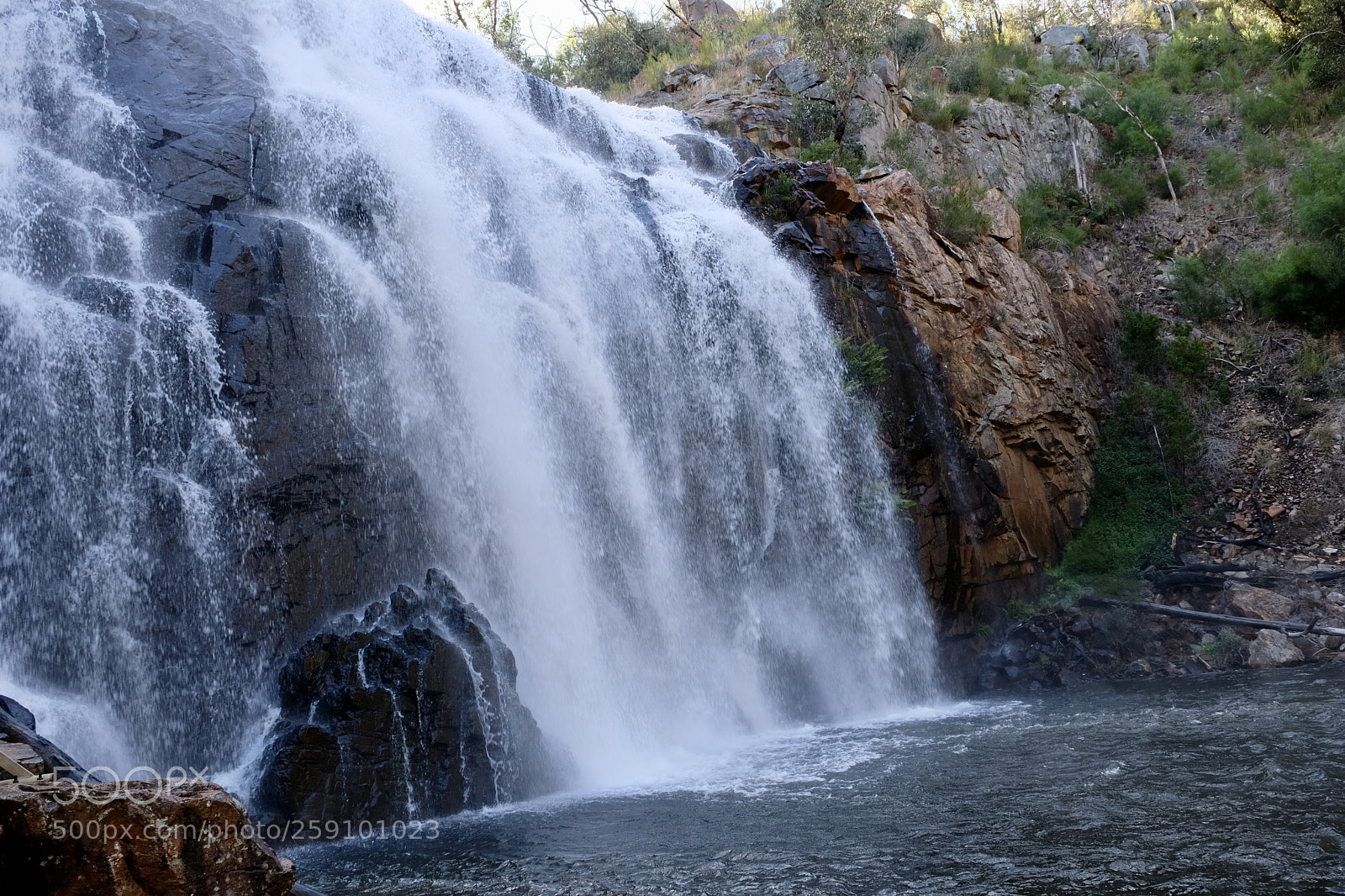 Fujifilm X-T20 sample photo. At the foot of photography