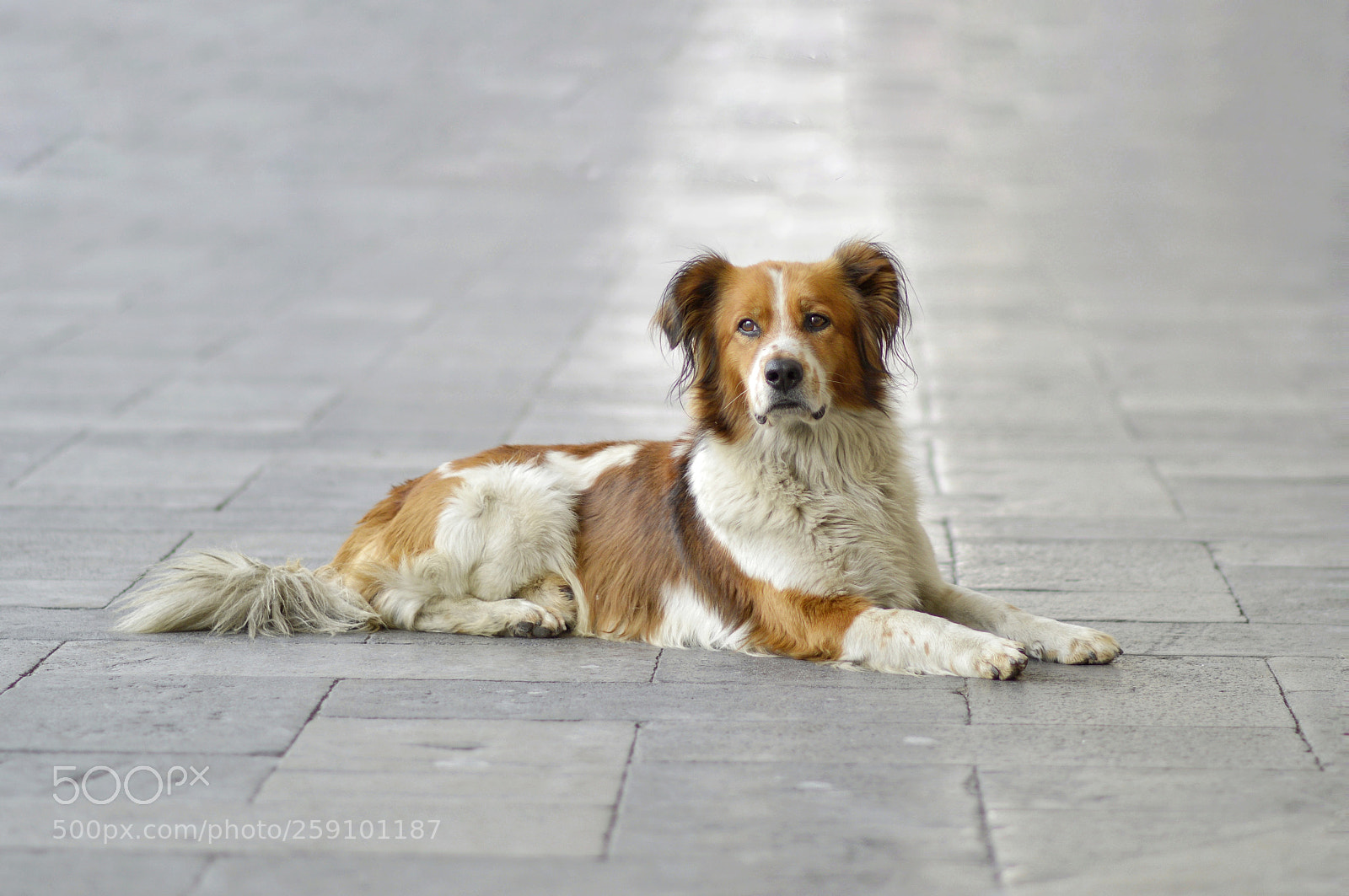 Nikon D3200 sample photo. Untitled photography