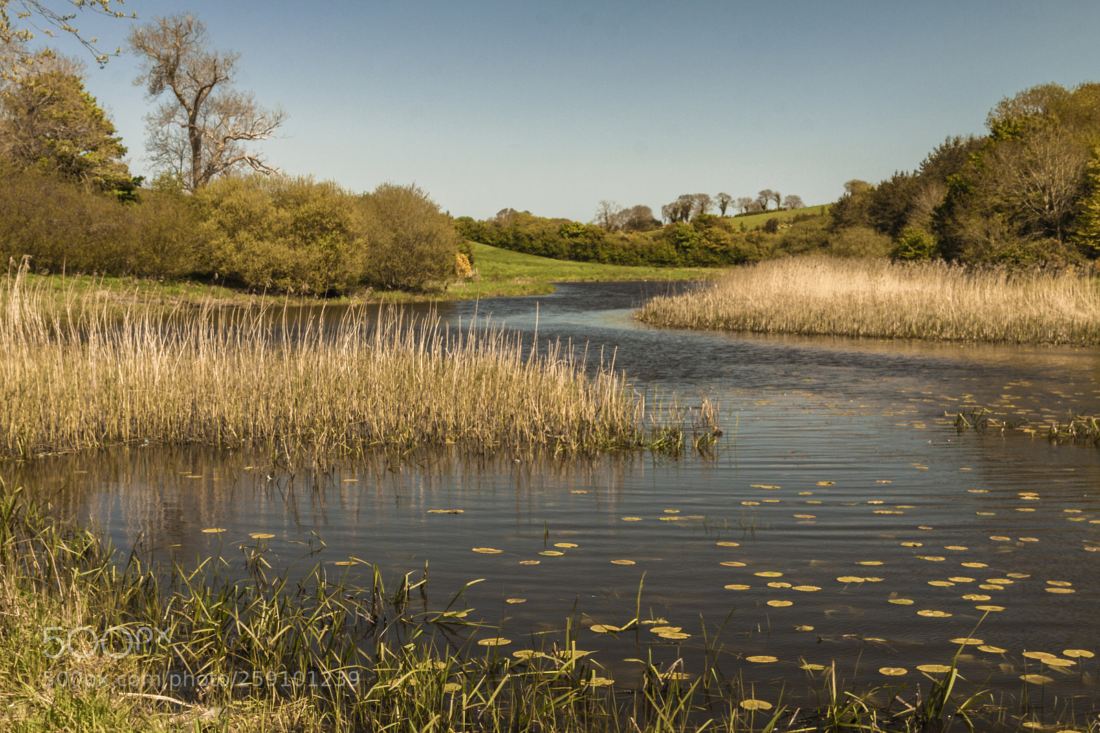 Canon EOS 50D sample photo. Downpatrick photography