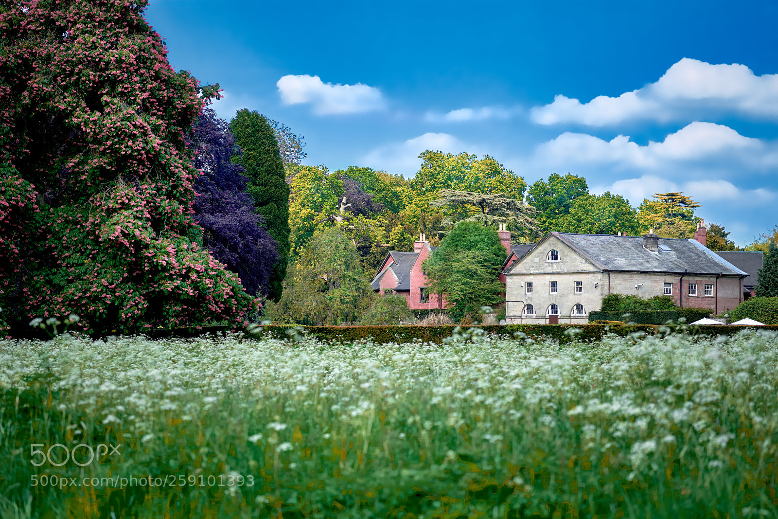 Sony a6000 sample photo. Coombe abbey photography