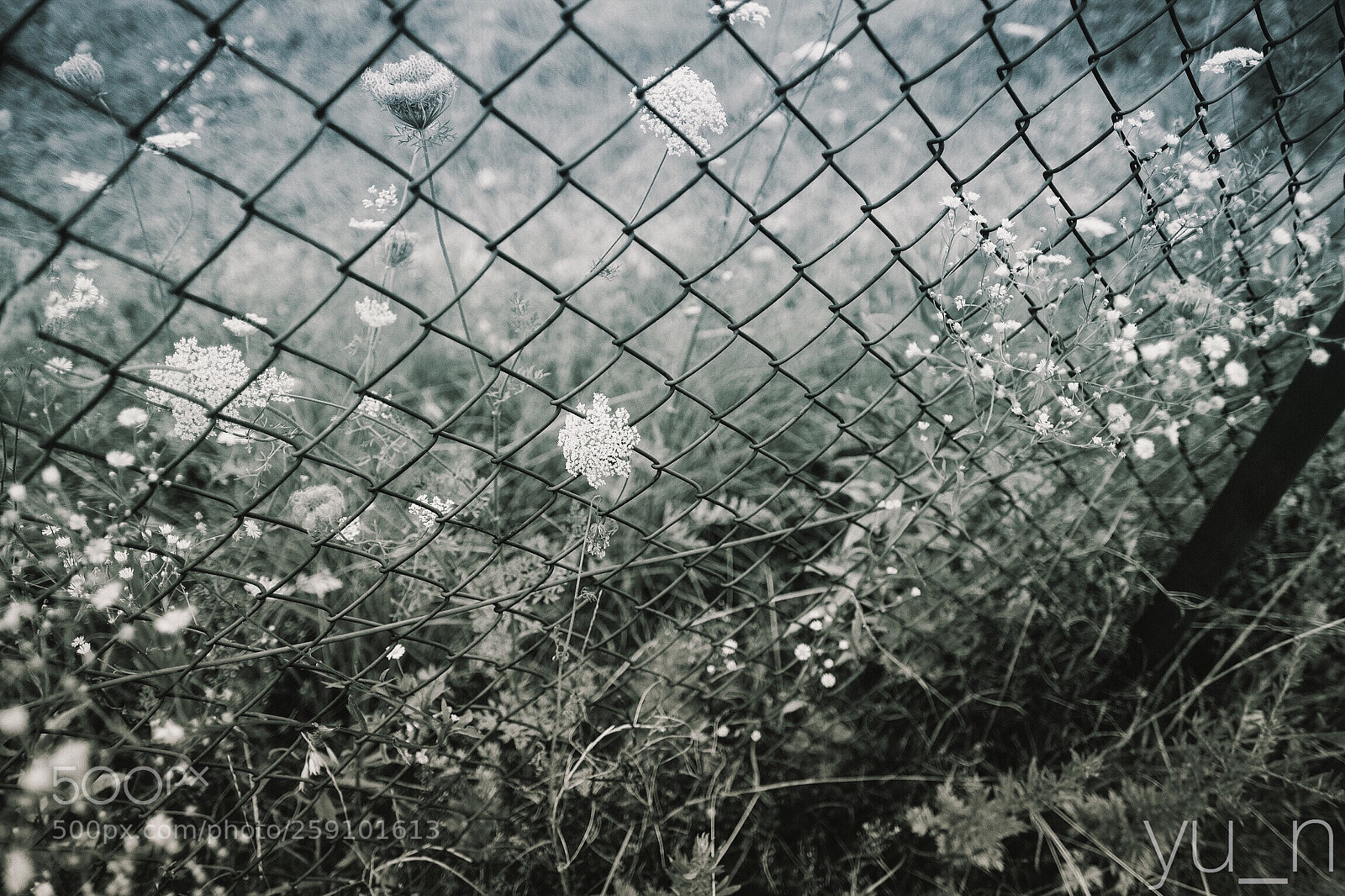 Fujifilm X-Pro2 sample photo. Untitled photography
