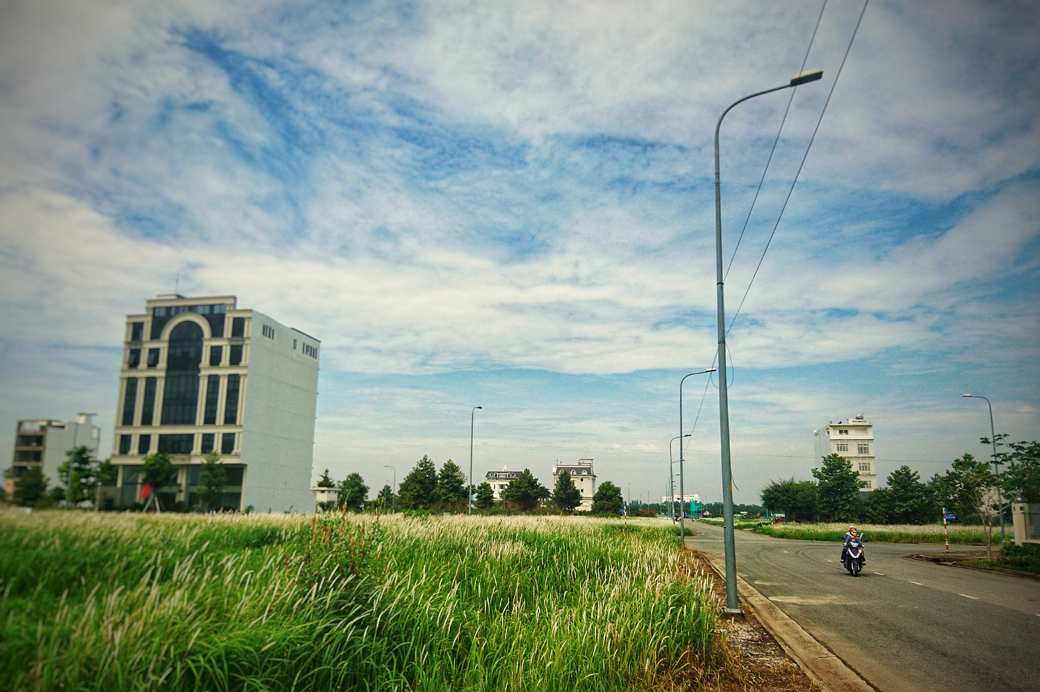 Sony Xperia X sample photo. Cỏ lau photography