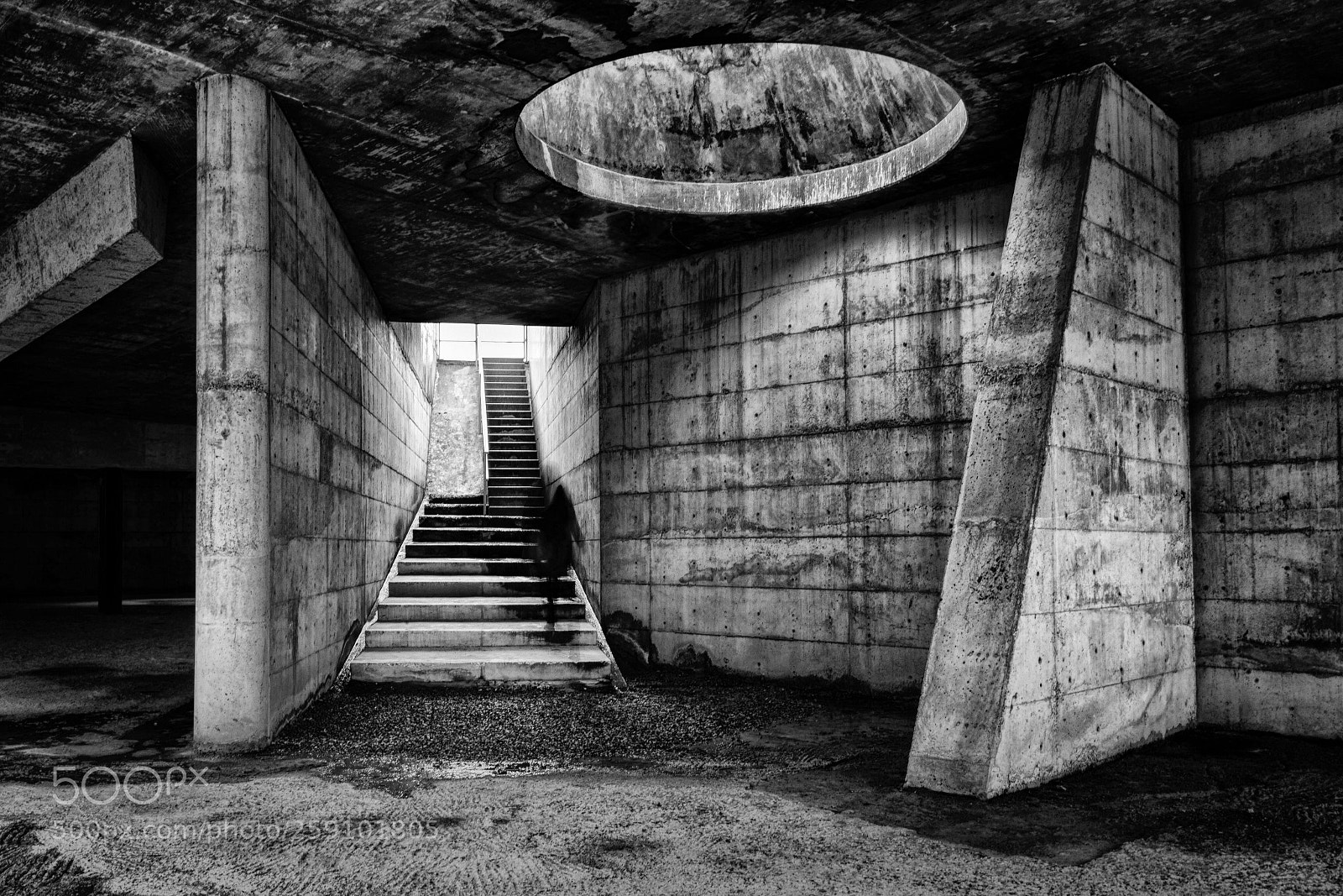 Nikon D750 sample photo. Stairway to heaven photography
