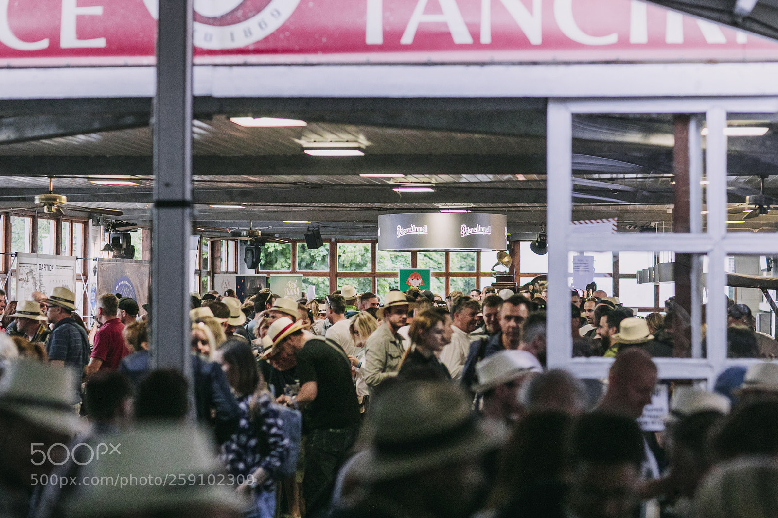 Canon EOS 5D Mark IV sample photo. 1_200.jpg photography