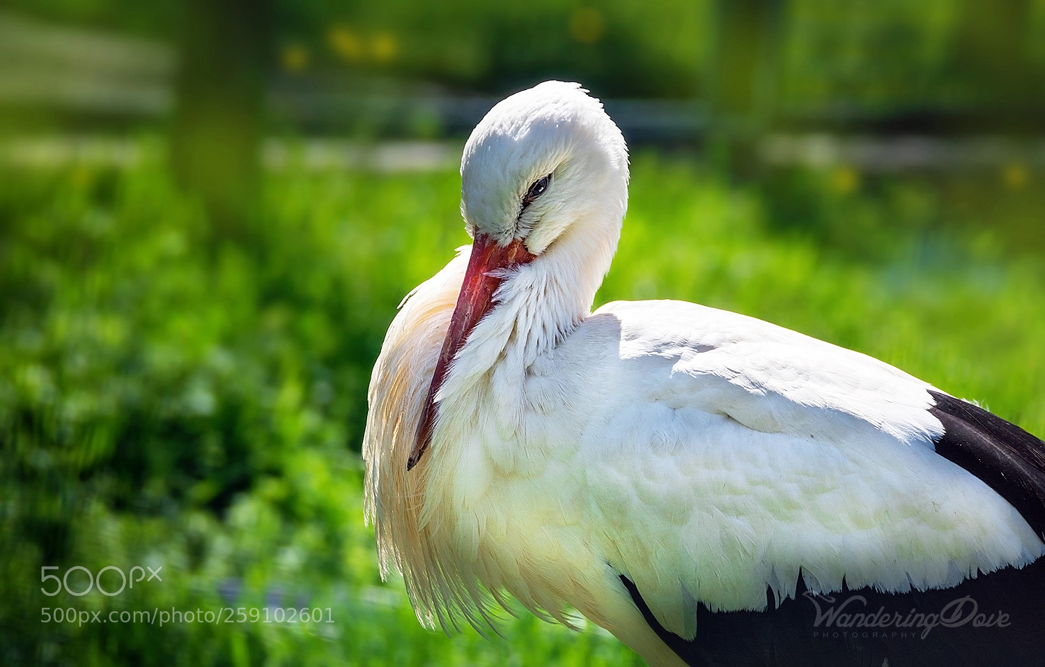 Nikon D3200 sample photo. Sunbathing photography