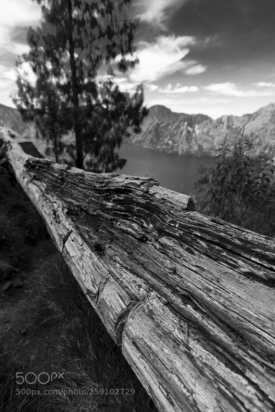 Nikon D750 sample photo. Untitled photography