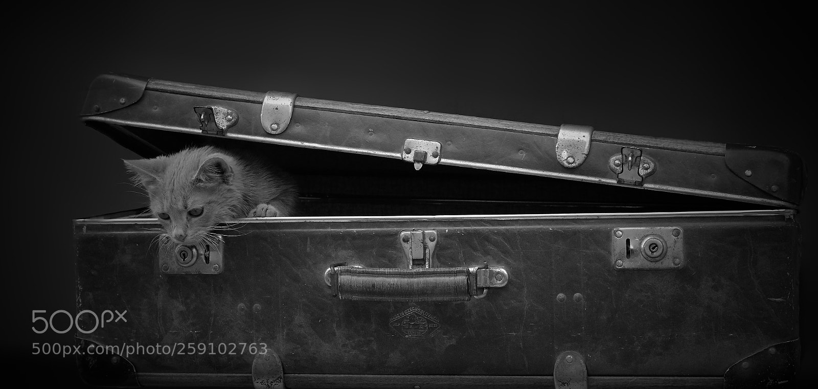 Nikon D7100 sample photo. Tenant of suitcase photography