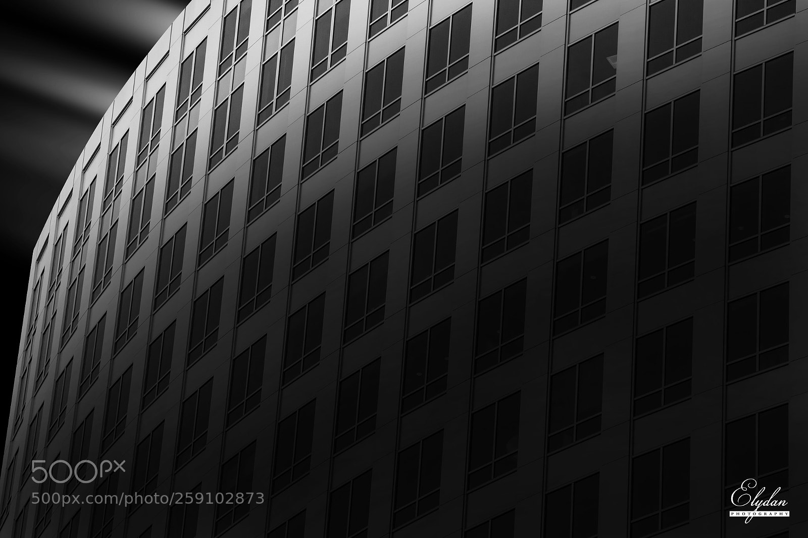 Canon EOS-1D X sample photo. Concur bw photography