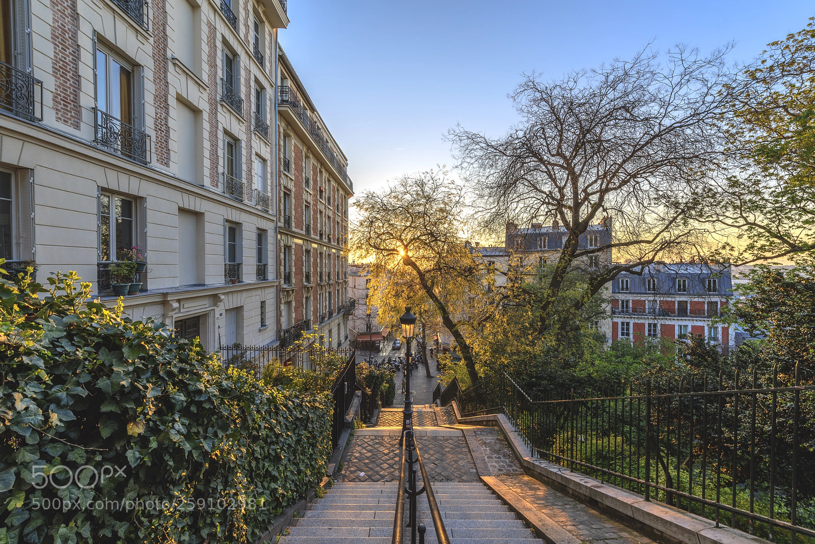 Nikon D810 sample photo. Contre jour sur les photography
