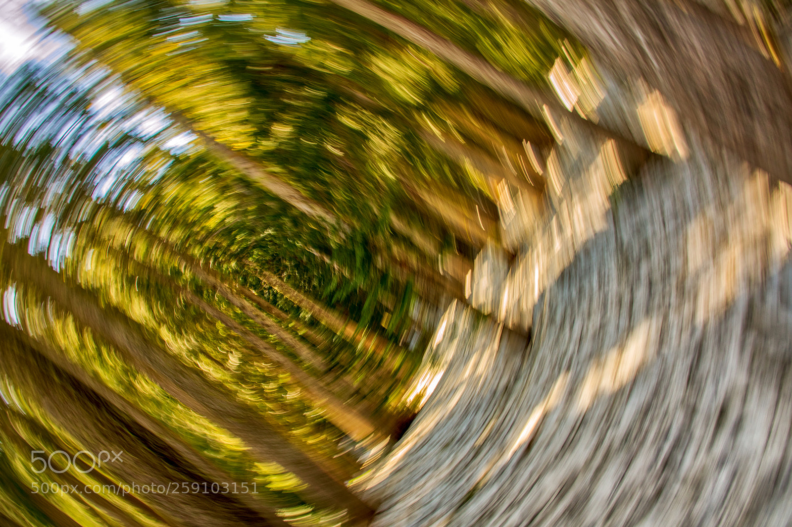 Pentax K-3 II sample photo. Accidental photography