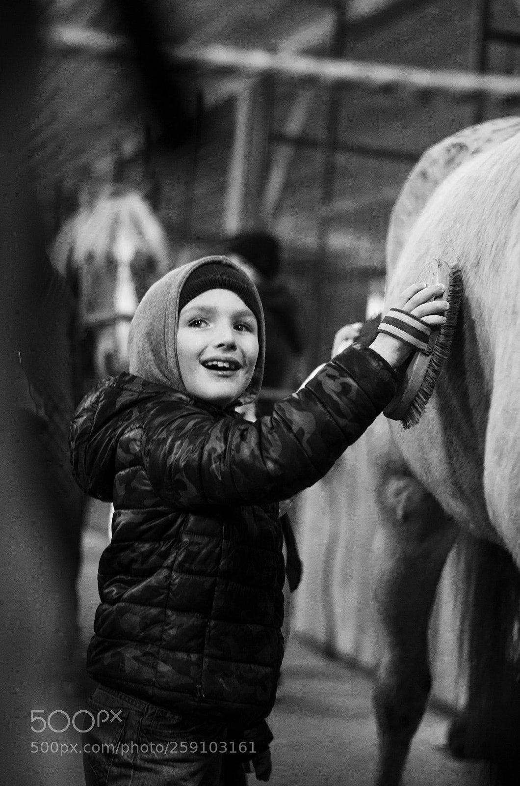 Nikon D5100 sample photo. чистка лошади photography