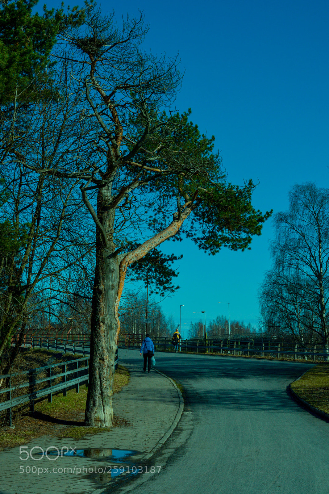Nikon D7100 sample photo. A woman walking up photography