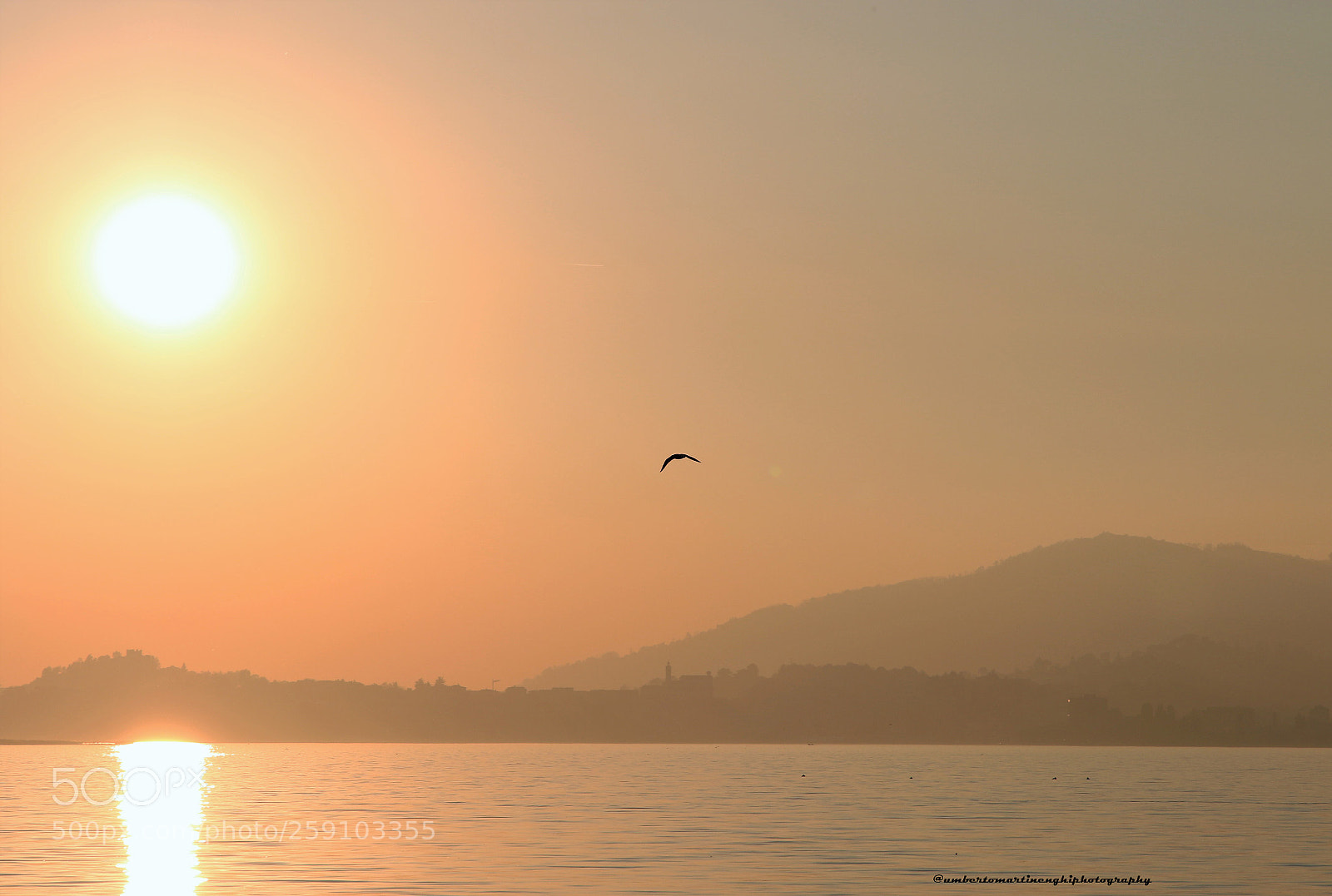 Canon EOS 7D Mark II sample photo. Golden hour photography
