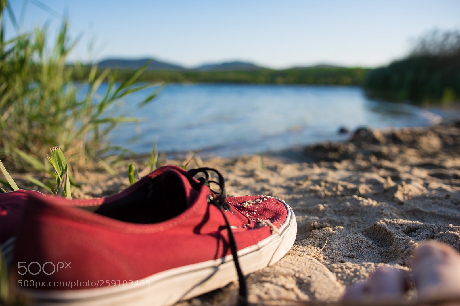 Nikon D7200 sample photo. Relaxing photography