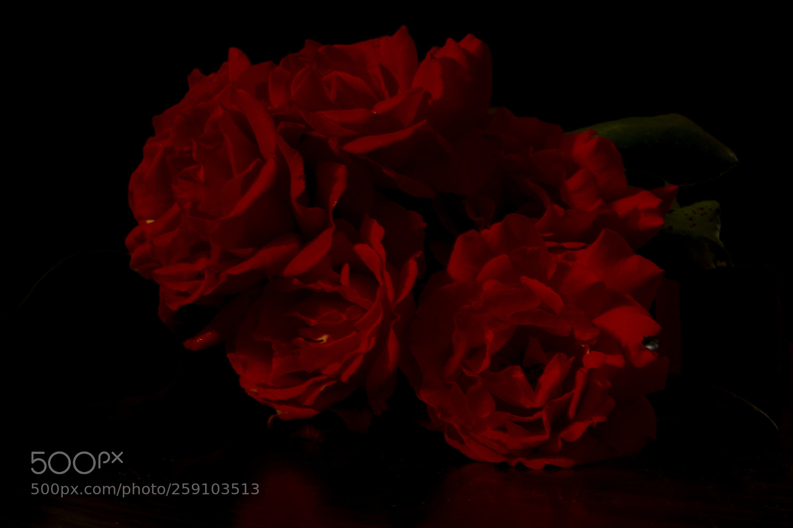 Canon EOS 70D sample photo. Red roses photography