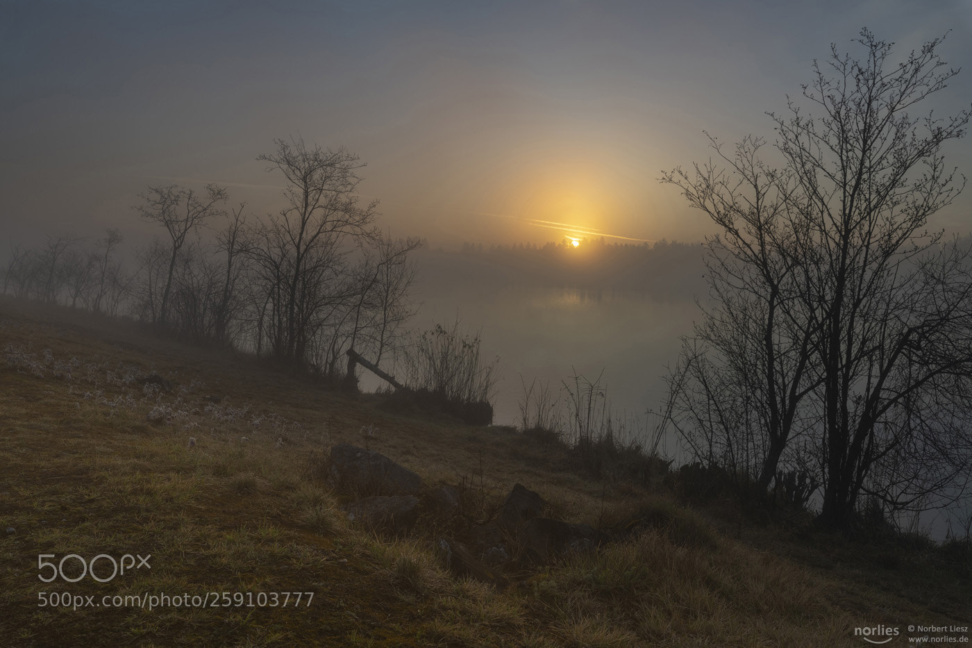 Nikon D850 sample photo. Morning sun photography