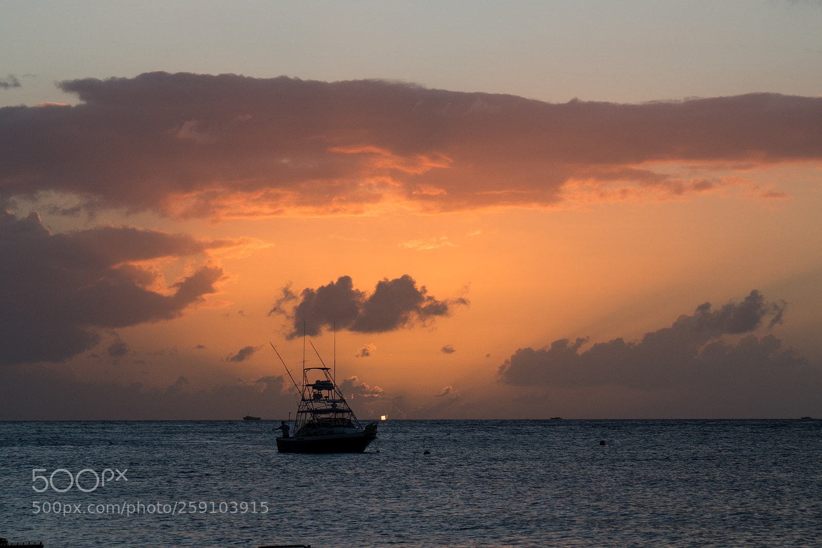 Olympus OM-D E-M5 II sample photo. Evening glow photography
