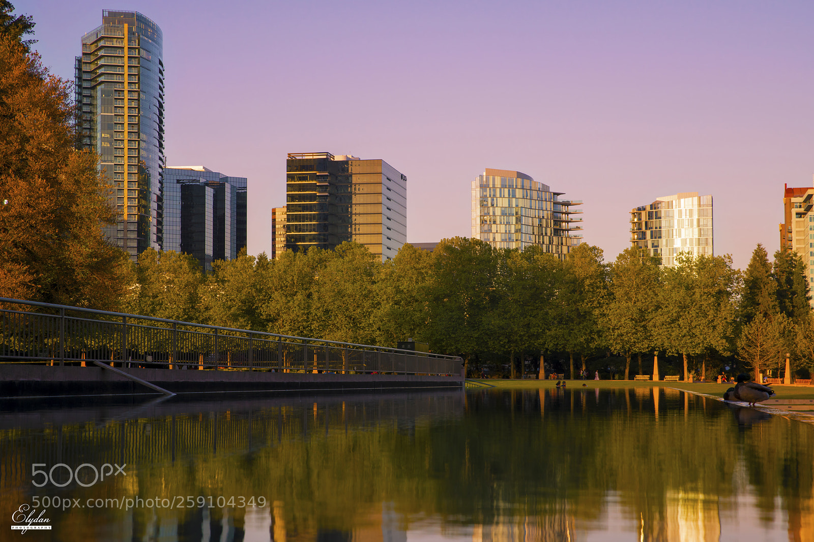 Sony a7R III sample photo. Parksunset photography