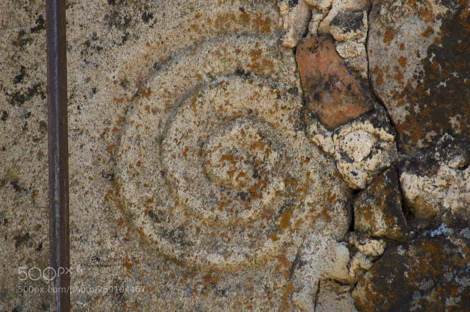 Nikon D40 sample photo. Duendes en espiral photography