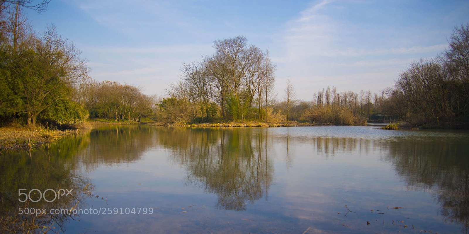 Nikon D750 sample photo. Hangzhou xixi wetland park photography