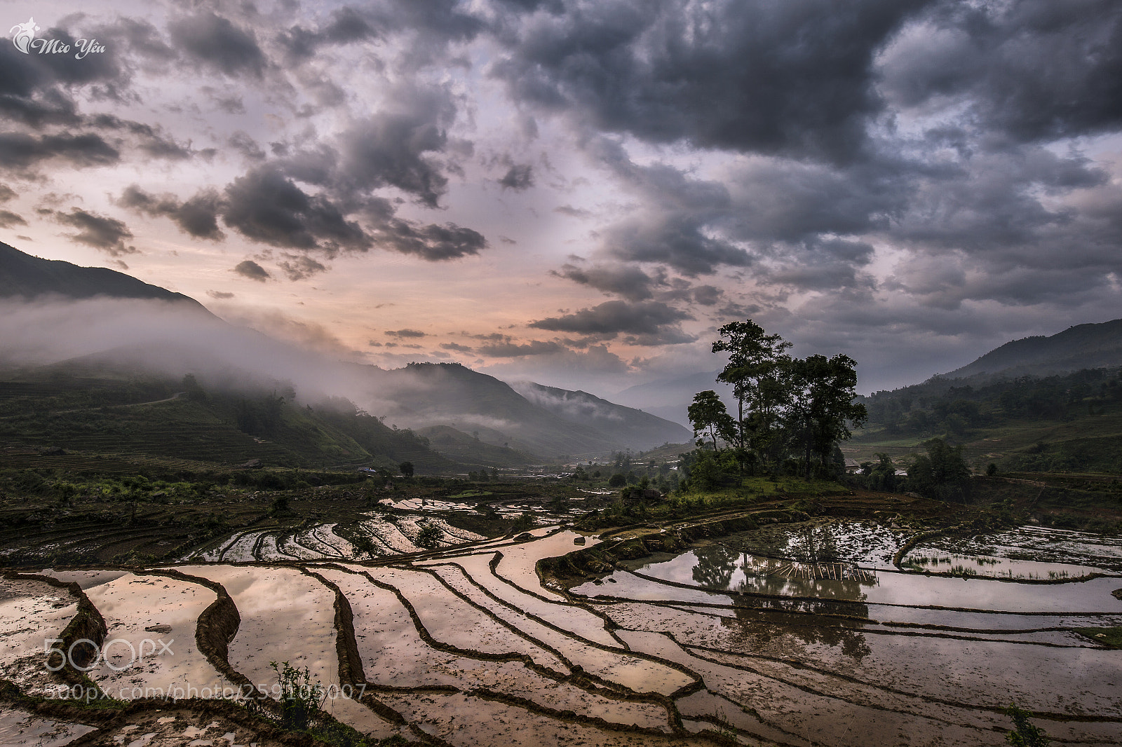 Canon EOS 6D sample photo. Sunrise on terraced fields photography