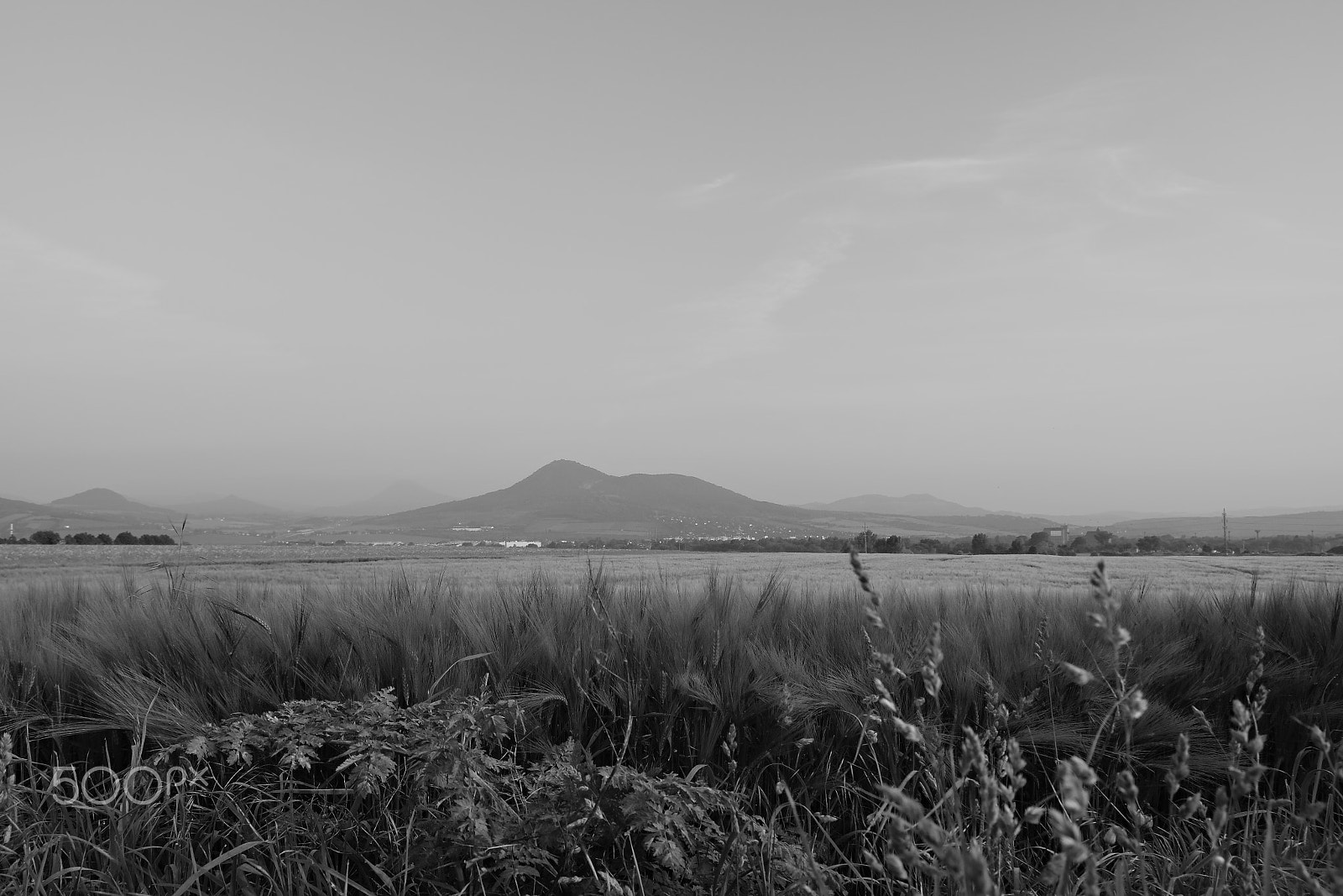 Nikon D5300 sample photo. Spring field and lovos hill on background in czech central mountains tourist area during sunrise... photography