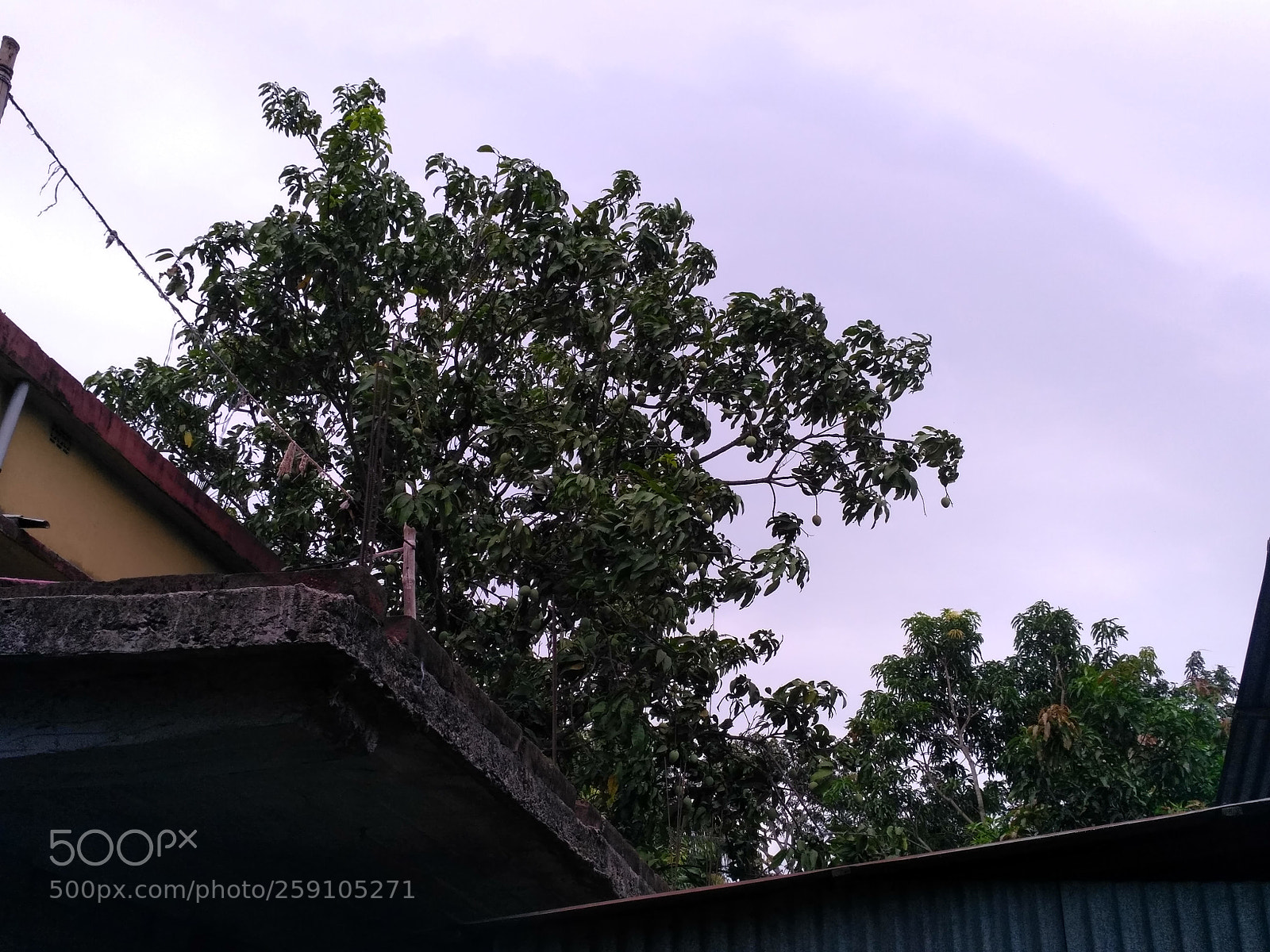 Xiaomi Redmi 3S sample photo. Untitled photography