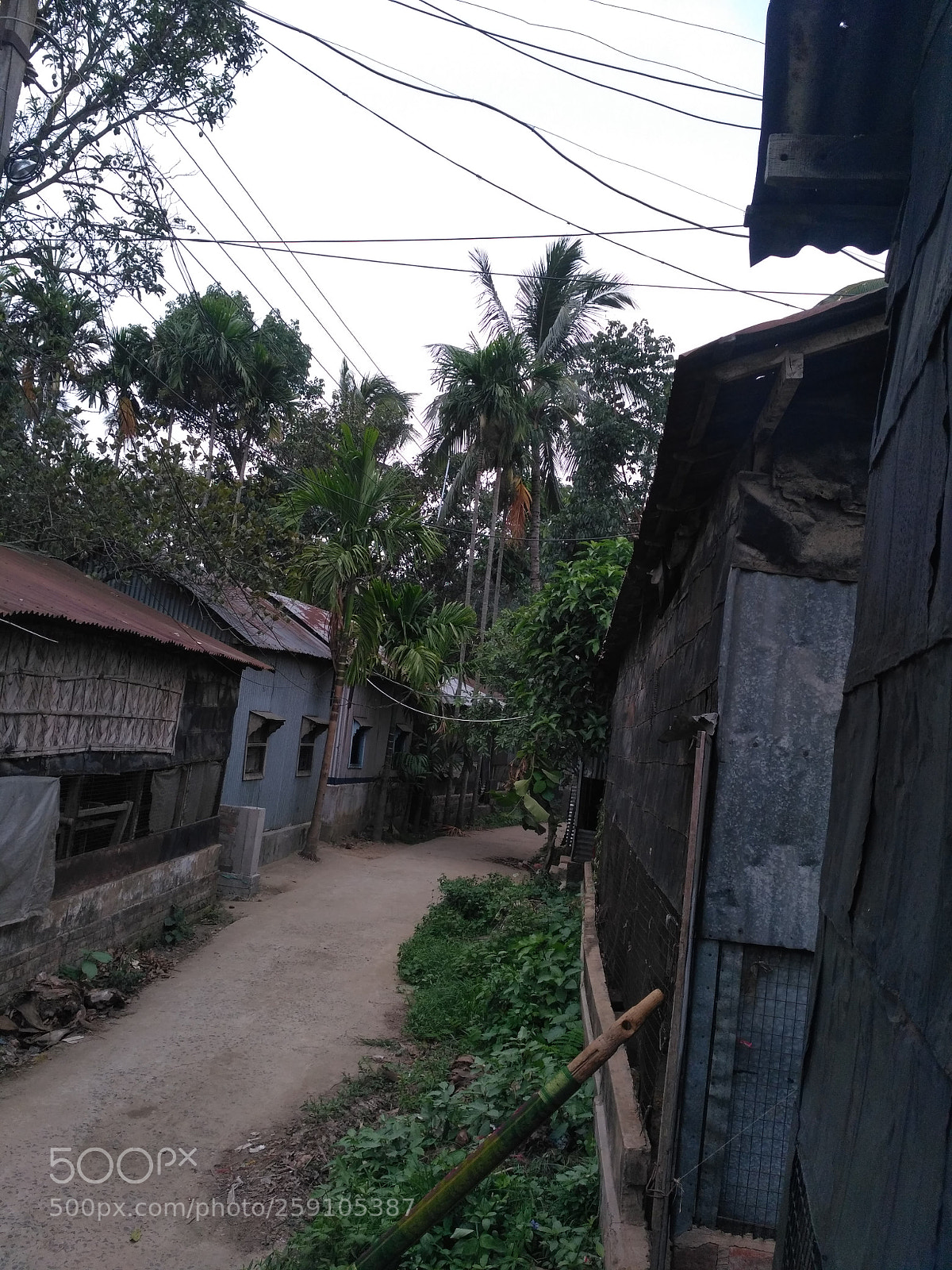 Xiaomi Redmi 3S sample photo. Untitled photography