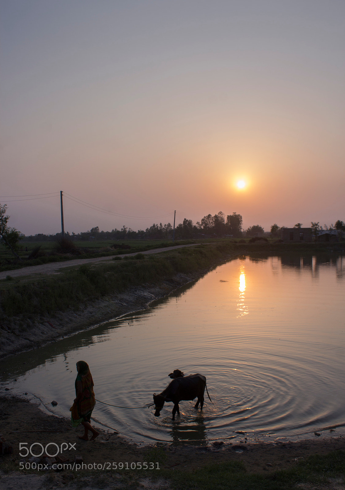 Canon EOS 1200D (EOS Rebel T5 / EOS Kiss X70 / EOS Hi) sample photo. Sunset in terai photography
