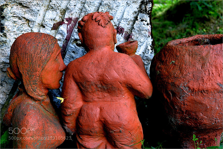 Nikon D610 sample photo. Gallery of rejected sculptures photography