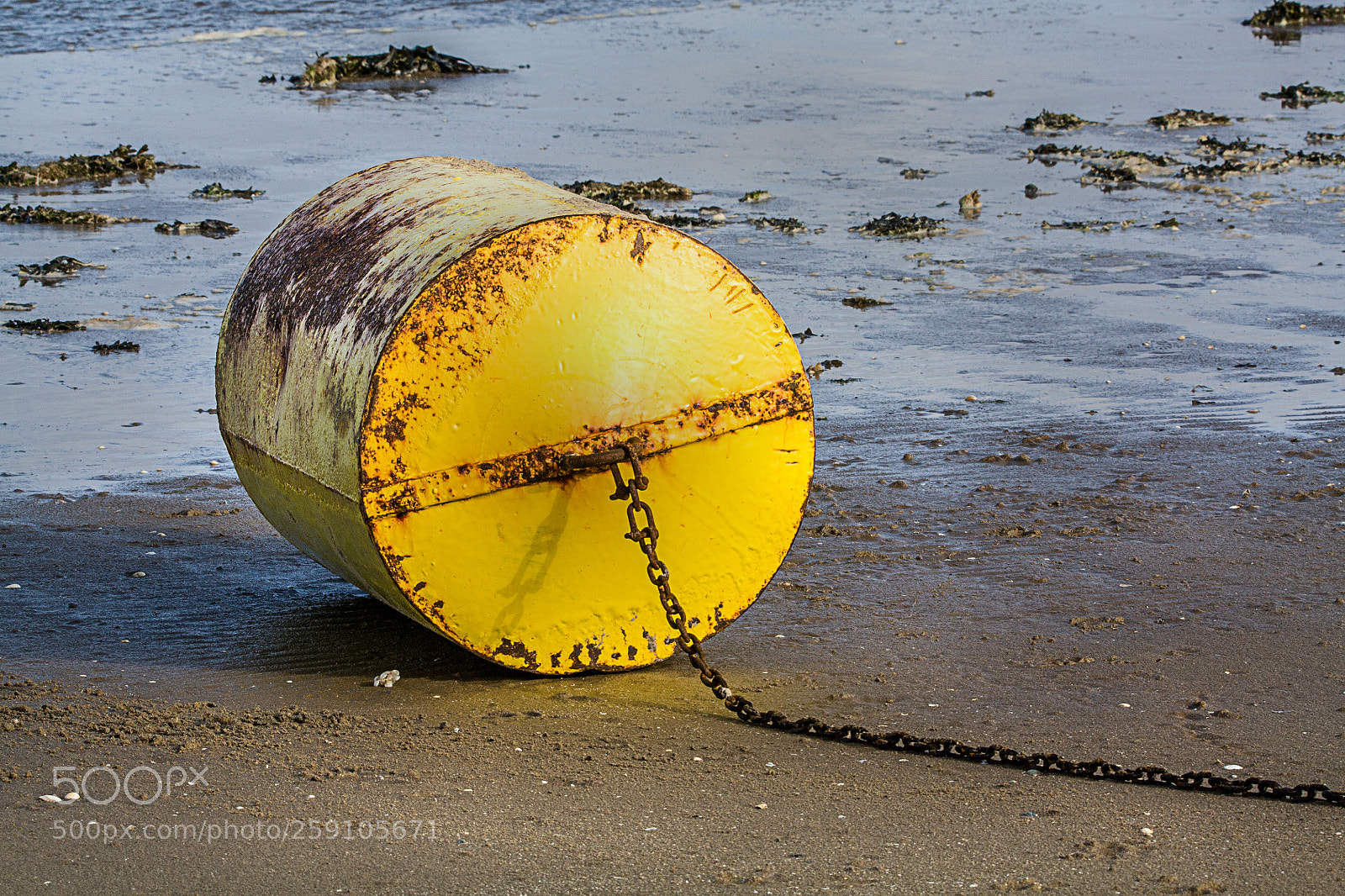 Canon EOS 450D (EOS Rebel XSi / EOS Kiss X2) sample photo. Yellow beached buoy photography