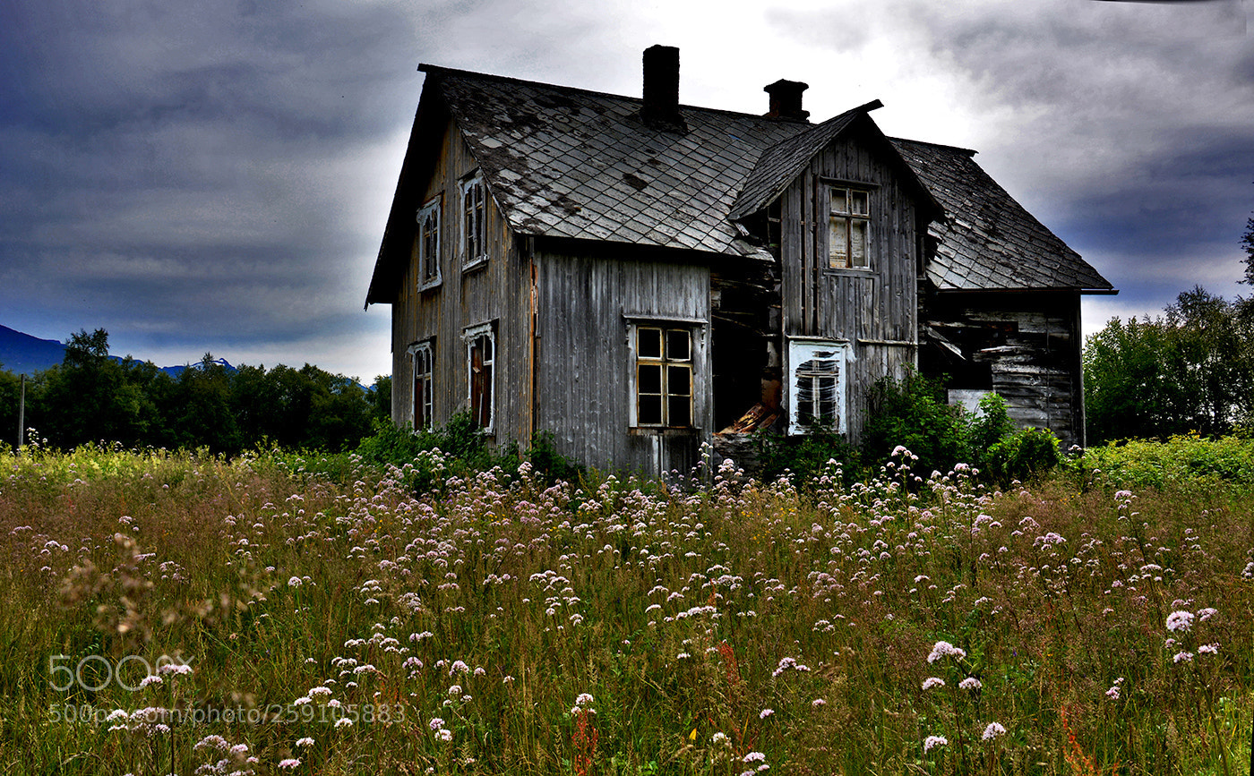 Nikon D5200 sample photo. The house on the photography