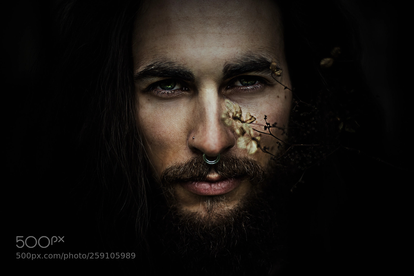 Nikon D610 sample photo. Florin. photography