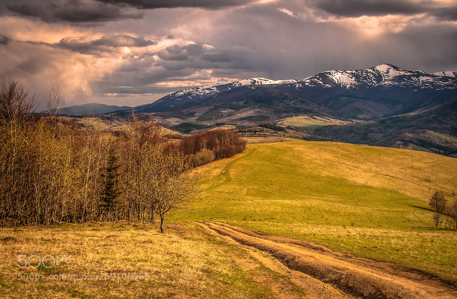 Nikon D5000 sample photo. The land of ukraine photography