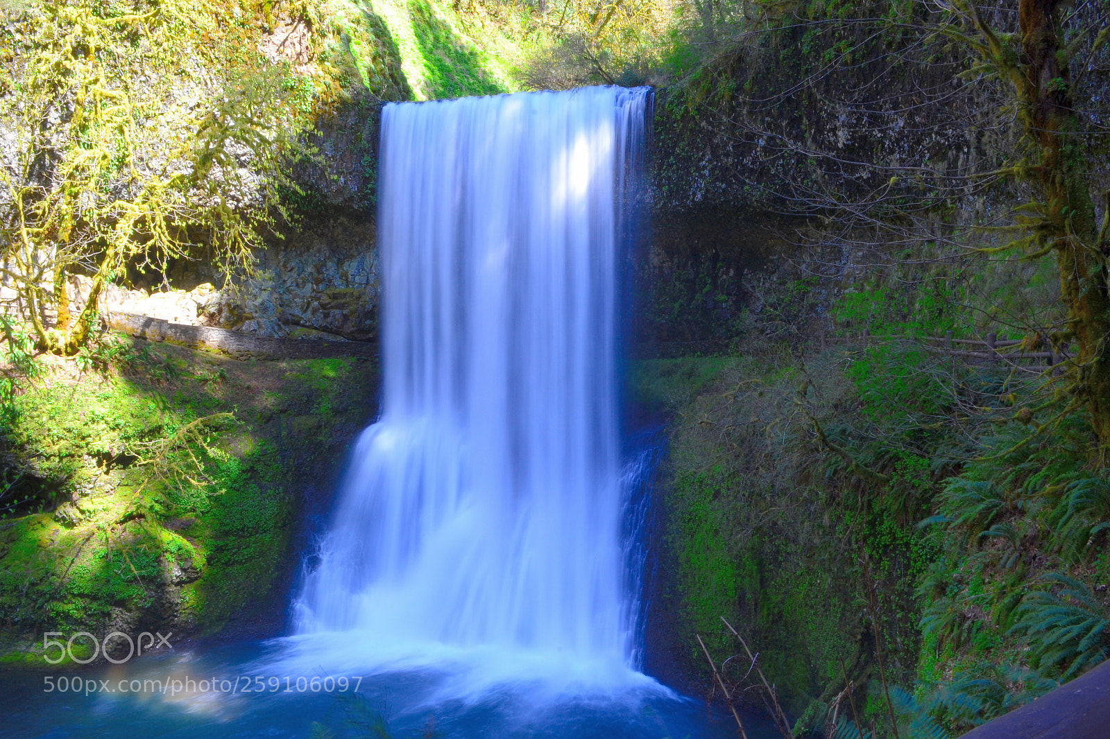 Nikon D3100 sample photo. Silver falls photography