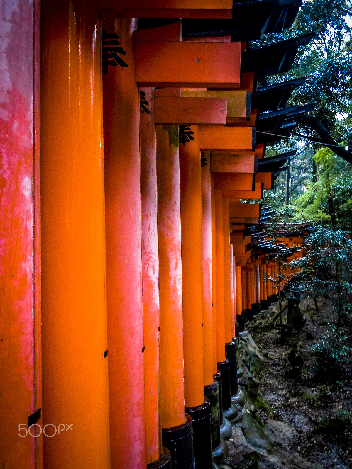 Nikon Coolpix S6000 sample photo. Fushimi inari-taisha photography