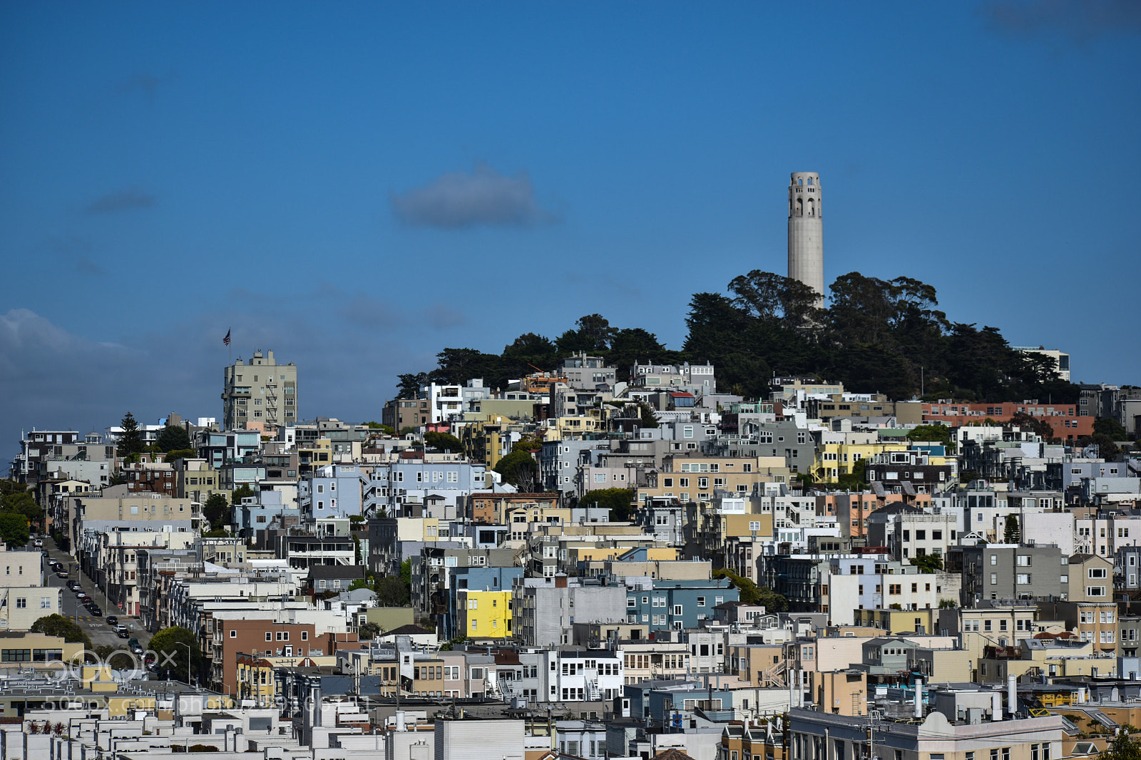 Nikon D5600 sample photo. Telegraph hill photography