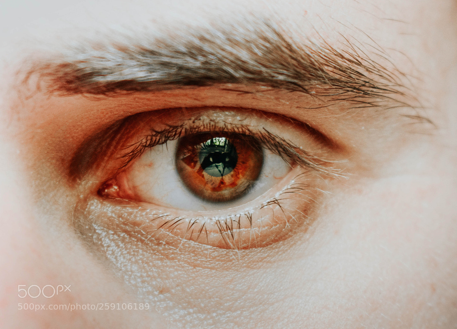 Nikon D3300 sample photo. Eye photography