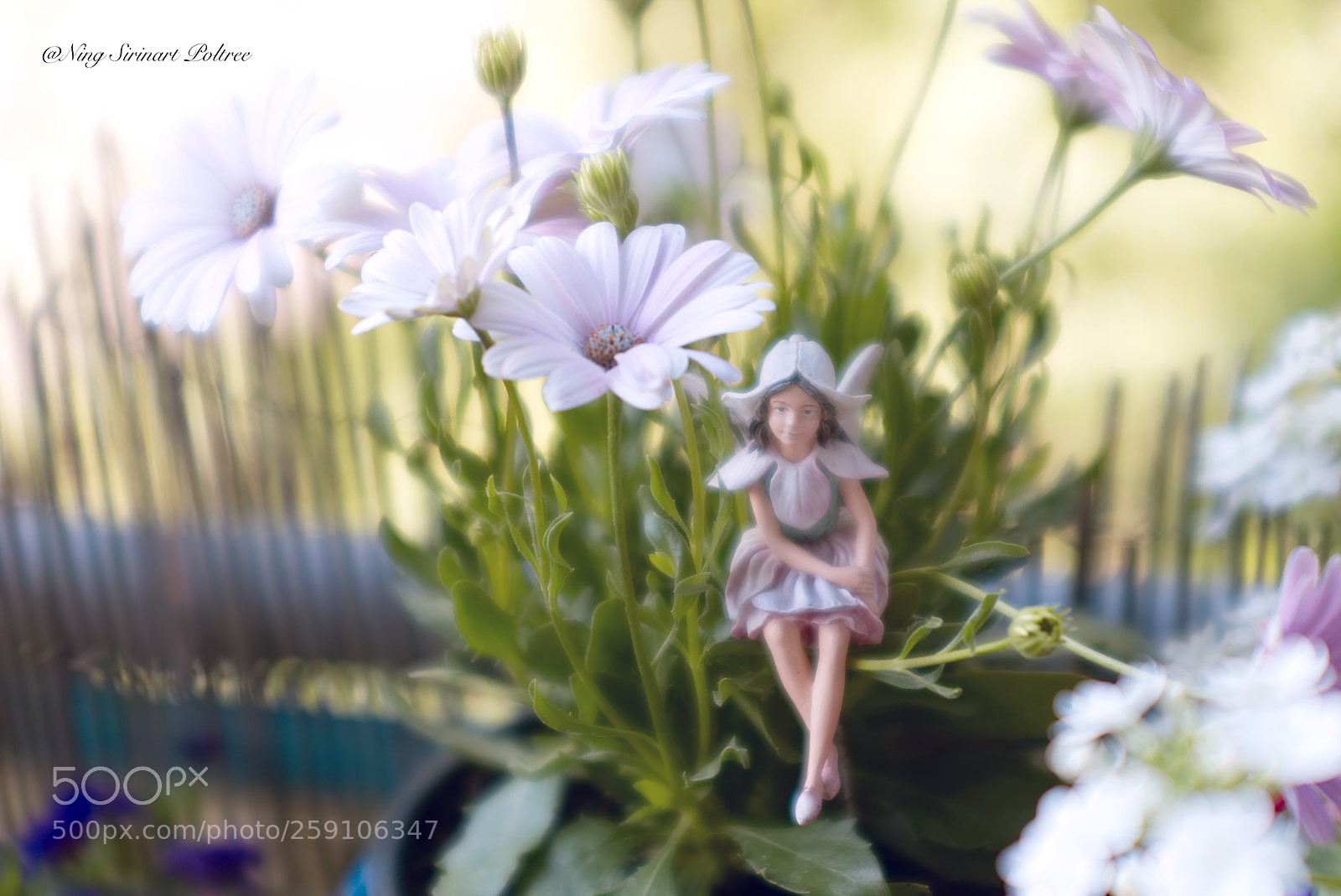 Canon EOS 6D sample photo. Test photography