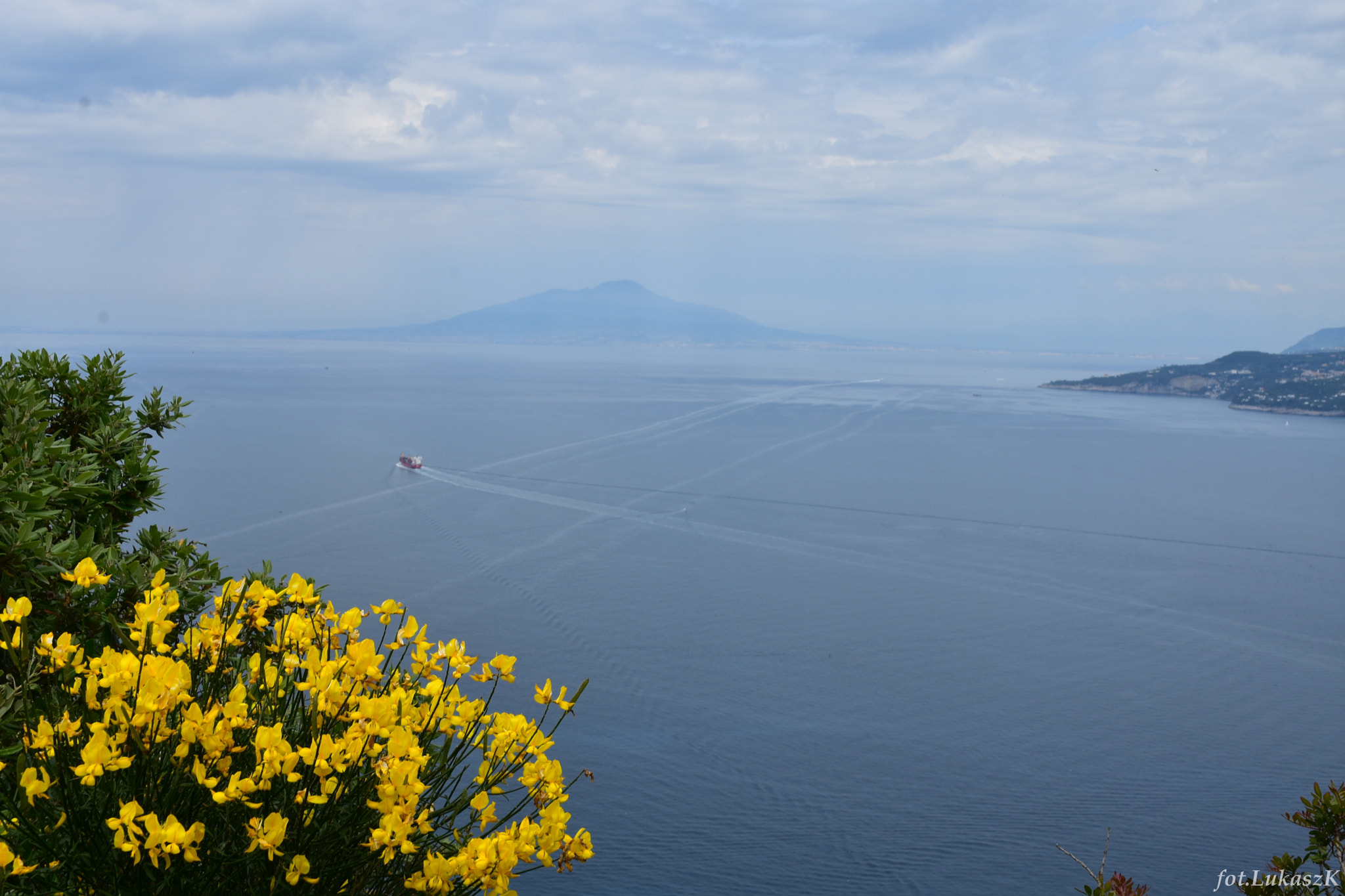 Nikon D7200 + Sigma 17-50mm F2.8 EX DC OS HSM sample photo. Capri photography