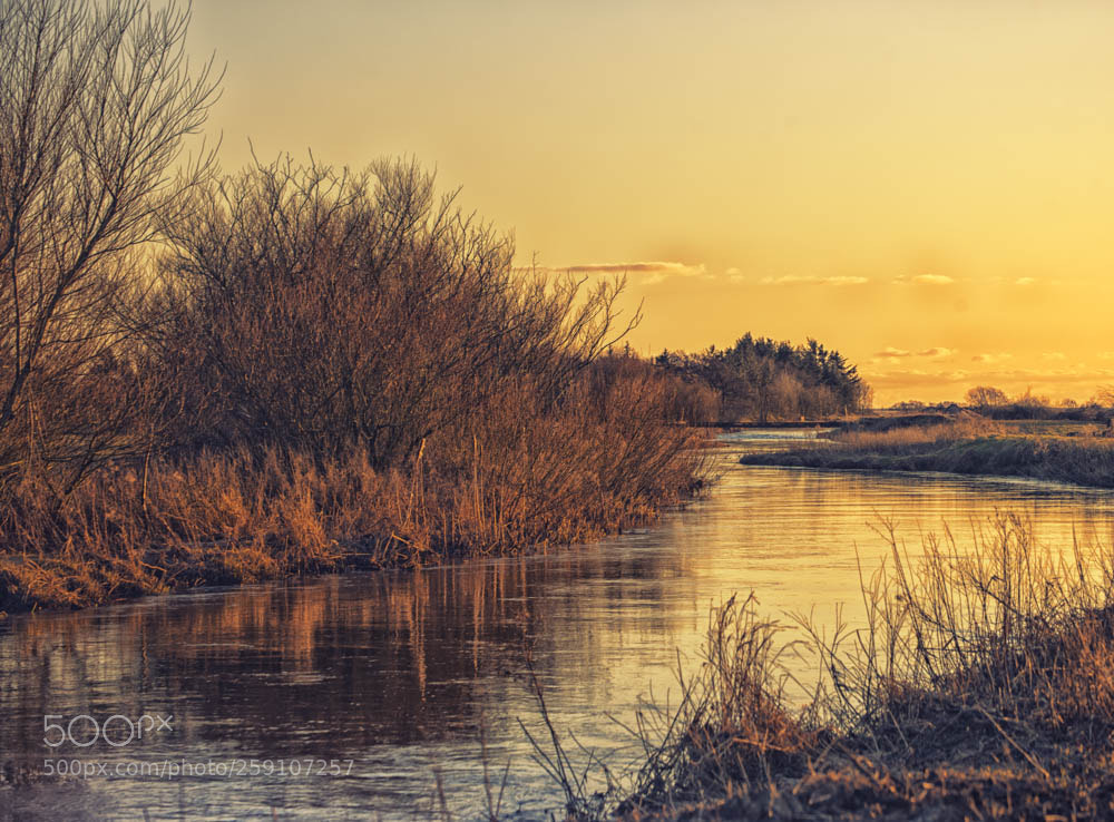 Nikon D750 sample photo. Kongeåen dk photography
