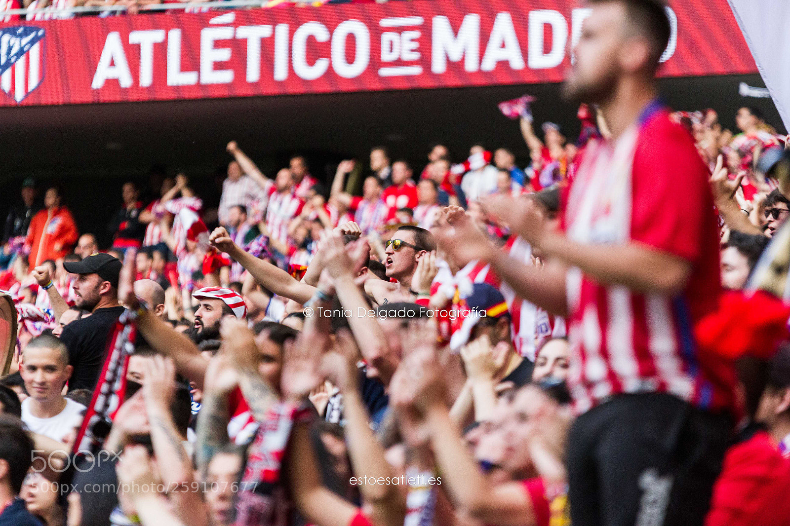Canon EOS 7D sample photo. Atl tico de madrid photography