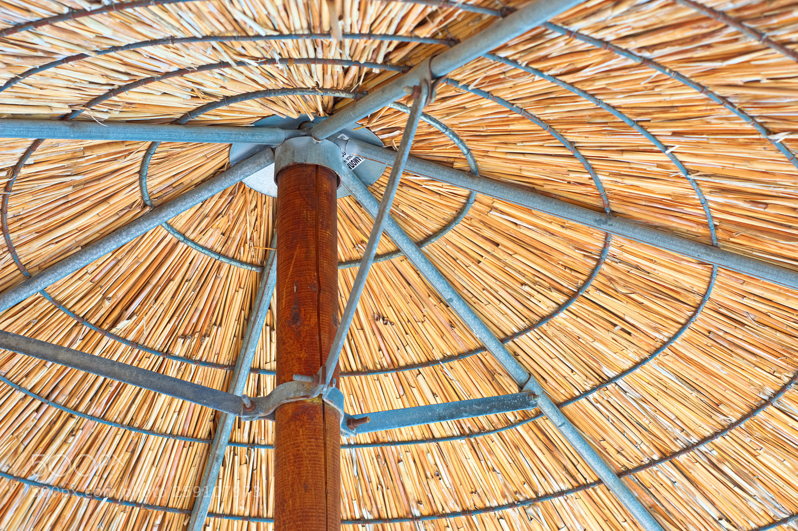 Nikon D3200 sample photo. Shade photography