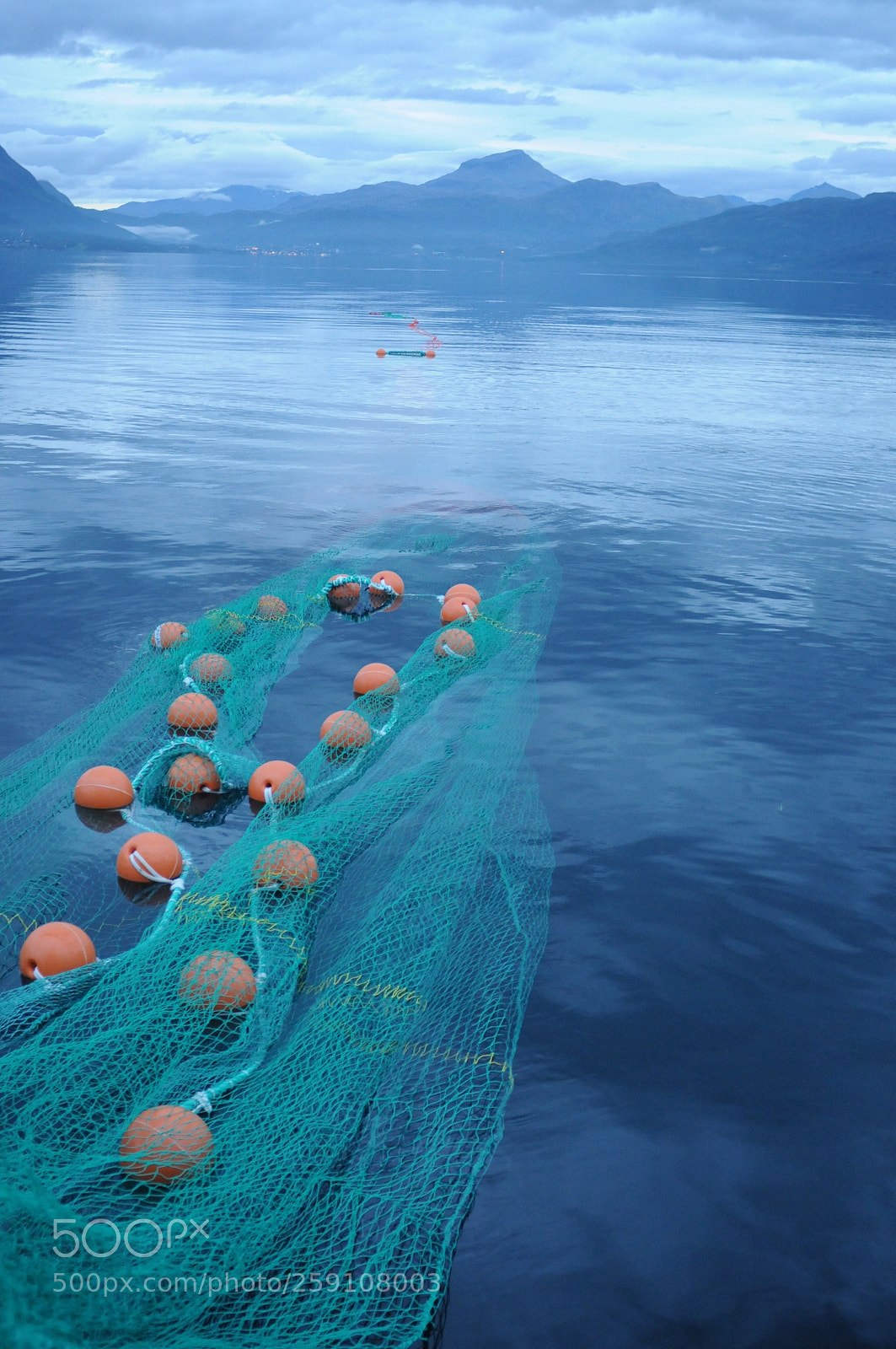 Nikon D300 sample photo. Rekefiske - shrimp-fishing photography