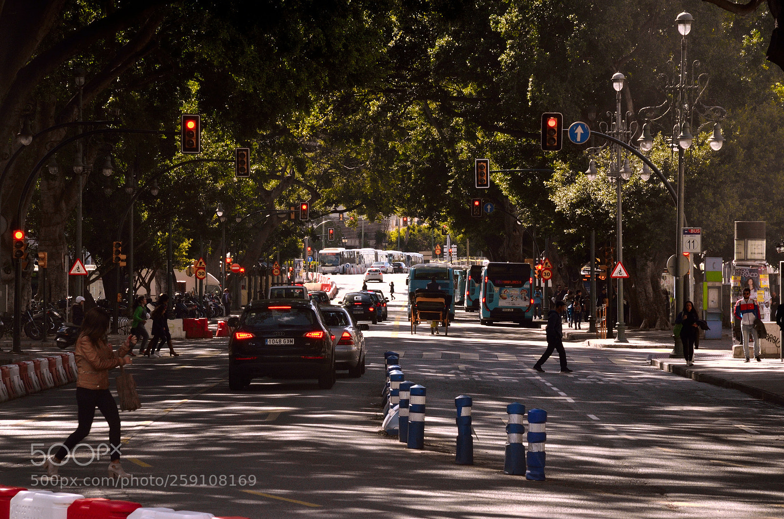 Nikon D7000 sample photo. Green tunnel photography