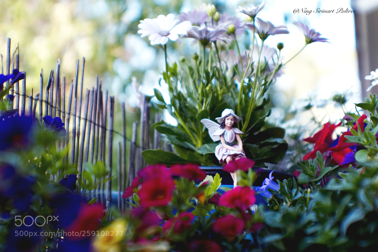 Canon EOS 6D sample photo. Have a nice day photography